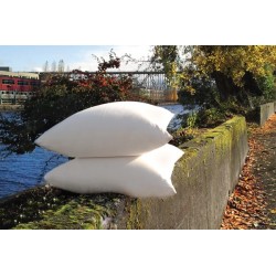 Pillow filled with kapok